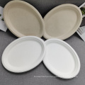 Biodegradable Sugarcane Bagasse 10 Inches Oval Plates